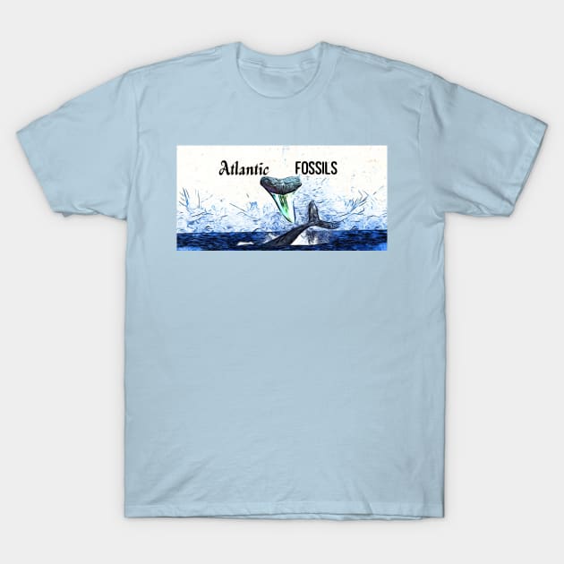 Whale and Atlantic Fossils Shark Tooth T-Shirt by AtlanticFossils